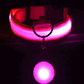 LED Light-Up Dog & Cat Collar (USB Rechargeable or Battery)