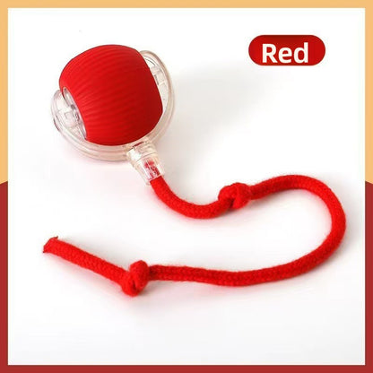 Bite-Resistant Bouncing Cat Ball with Rope