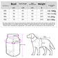 Color-Block Padded Winter Dog Jacket