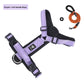 Escape-Proof Dog Harness with Optional Reflective Leash