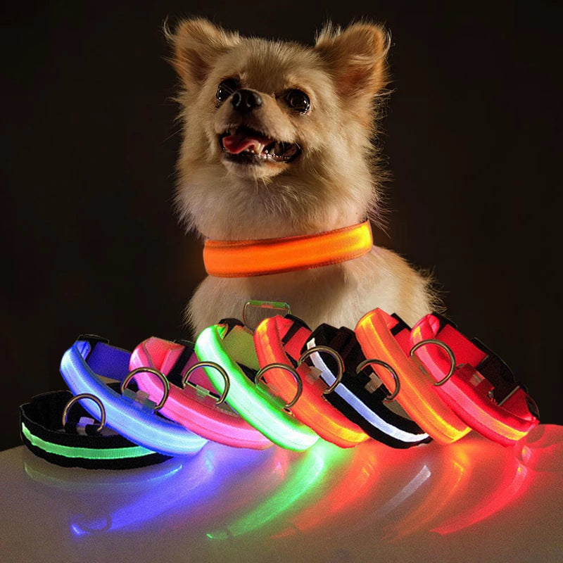 LED Light-Up Dog & Cat Collar
