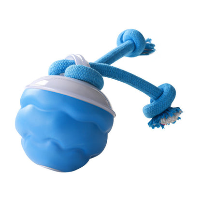 Interactive Self-Rolling Dog Ball, USB Rechargeable