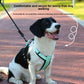 Escape-Proof Dog Harness with Optional Reflective Leash