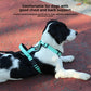 Escape-Proof Dog Harness with Optional Reflective Leash