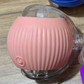 Self-Play Bouncing Cat Ball with Rope