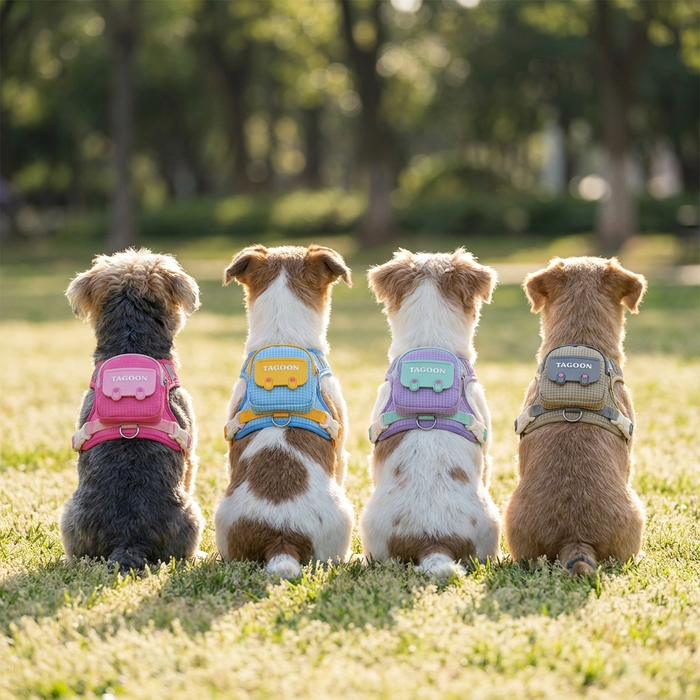 Four small dogs wearing the backpack harness in pink, blue, purple and khaki