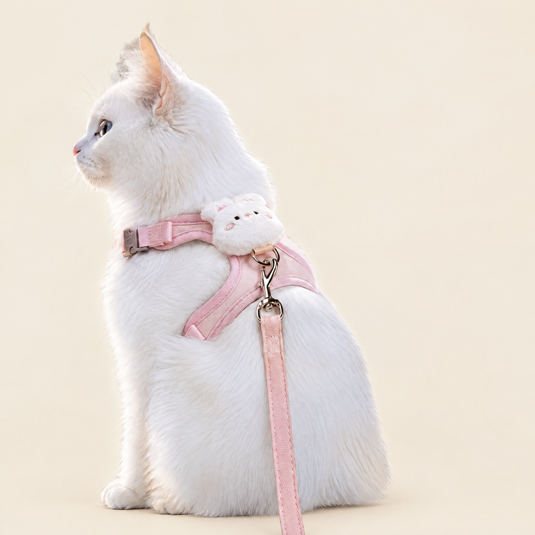 Escape-Proof Cat Harness & Leash Set