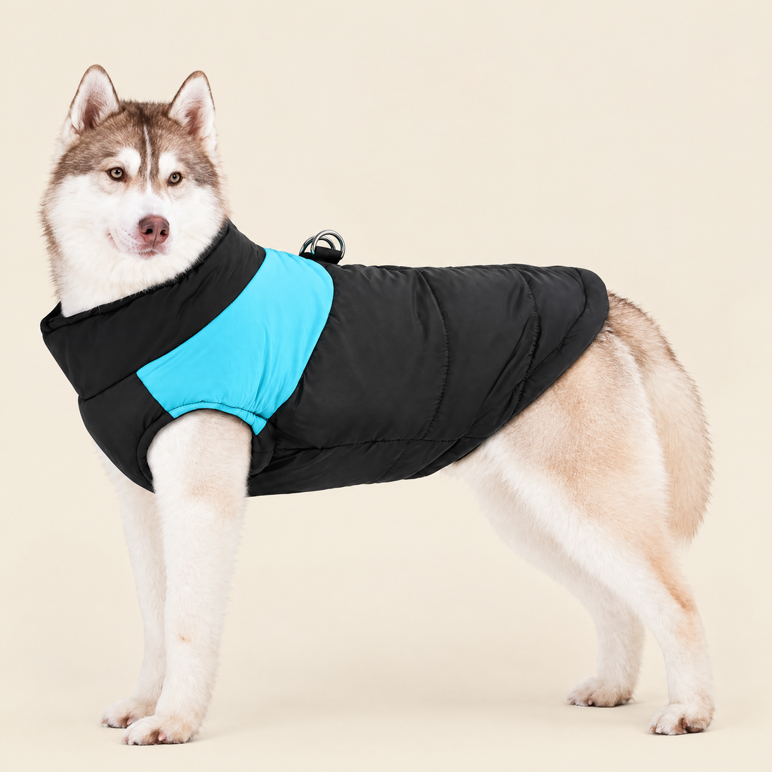 Color-Block Padded Winter Dog Jacket