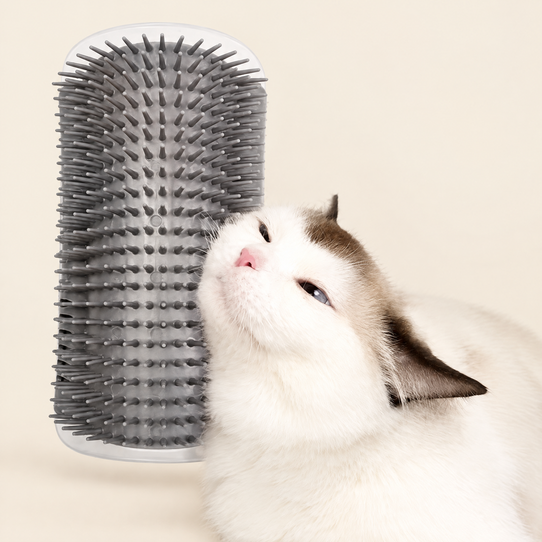 Corner Cat Self-Groomer & Scratcher Brush with Catnip