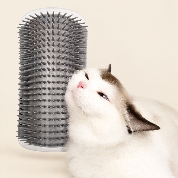 Corner Cat Self-Groomer & Scratcher Brush with Catnip