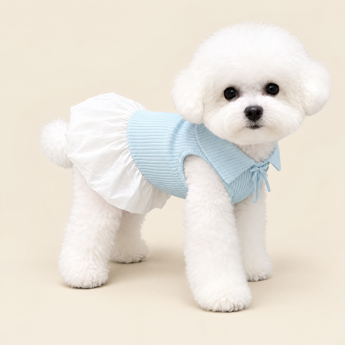 Polo Collar Dress for Small Dogs & Cats