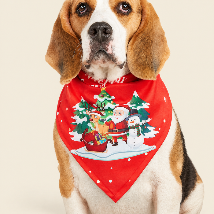 Cartoon Print Pet Bandana Scarf