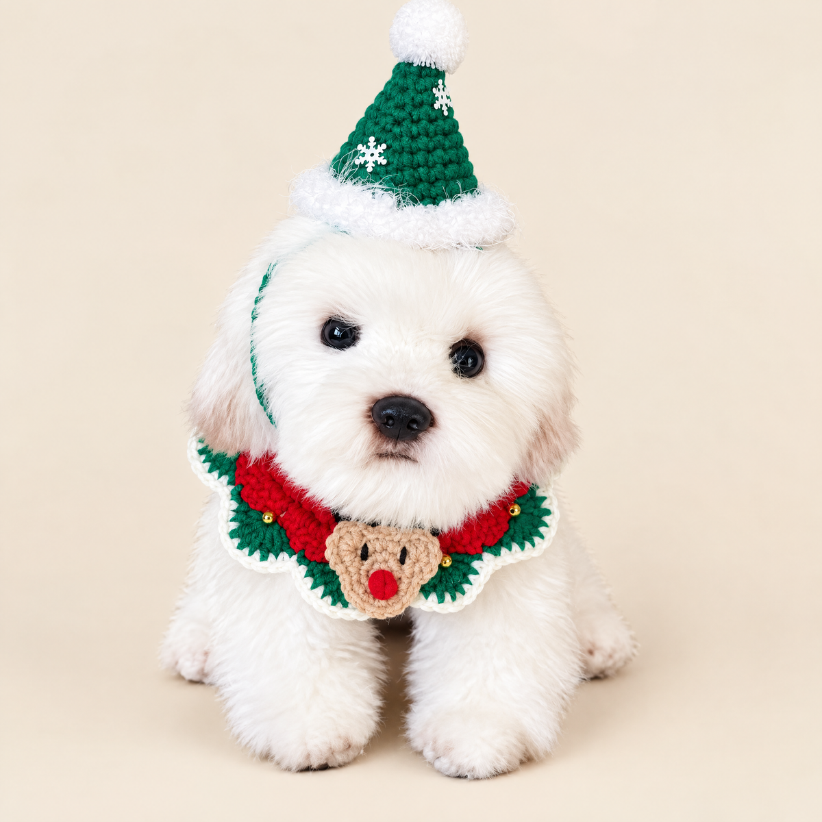 Hand-Crocheted Christmas Pet Collar & Hat Set
