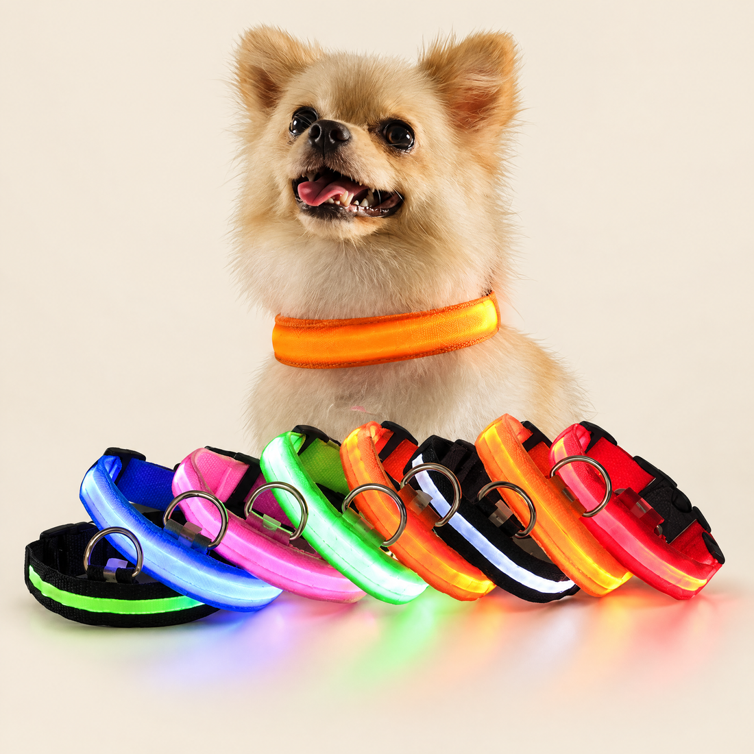 LED Light-Up Dog & Cat Collar (USB Rechargeable or Battery)