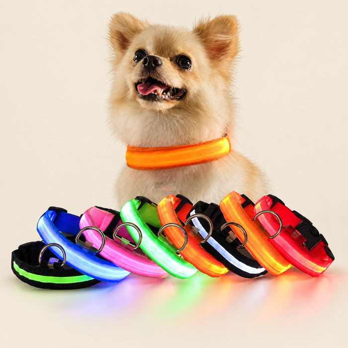 LED Light-Up Dog & Cat Collar (USB Rechargeable or Battery)